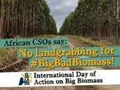 ¡No al acaparamiento de tierra para la biomasa industrial!: Declaración de África sobre #BigBadBiomass