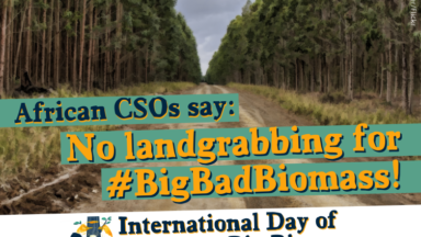 Trees and campaign slogan: African CSOs say no land grabbing for #bigbadbiomass