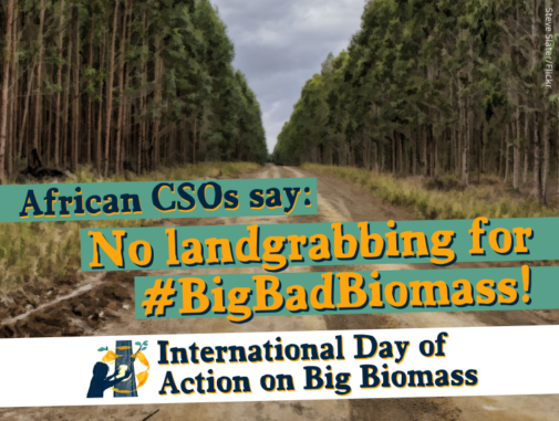 Trees and campaign slogan: African CSOs say no land grabbing for #bigbadbiomass
