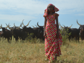 Justicia de género y ganadería: Un análisis feminista de la elaboración de políticas ganaderas y forestales