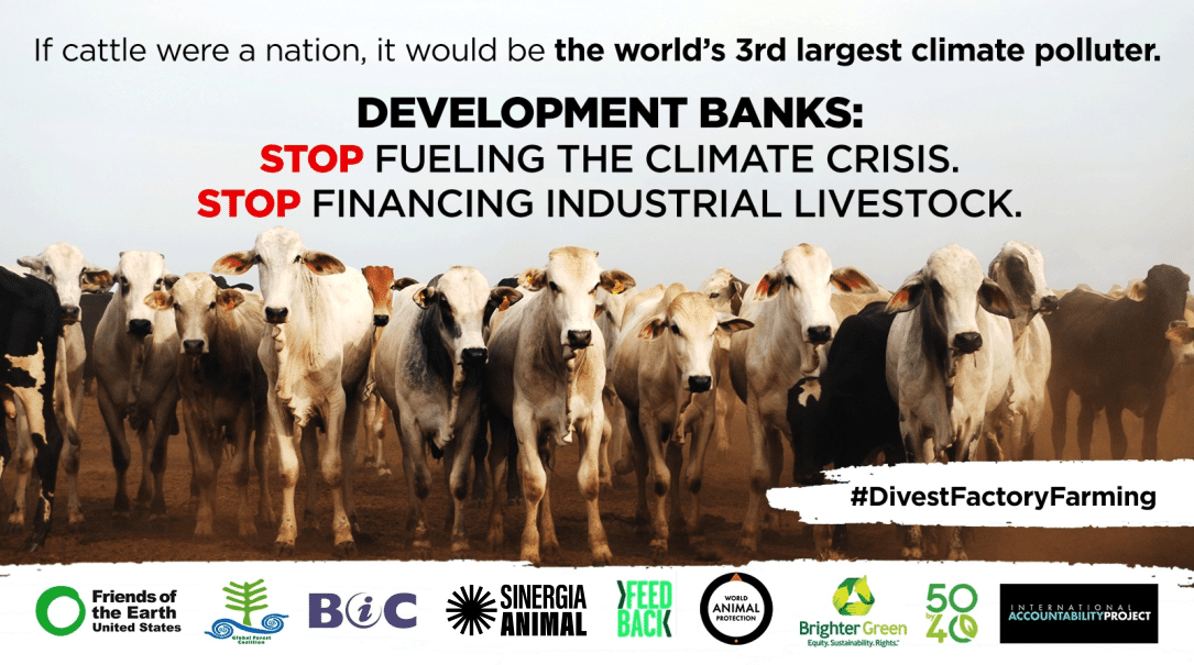 2-curioso-photography-QLOJS4bKNxg-unsplash_