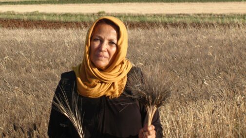 Khadija Catherine Razavi of CENESTA in Iran