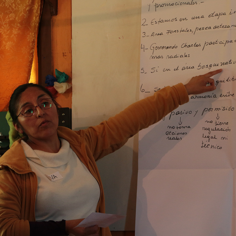 Mapuche activist Eva Cachaña teaching a workshop in Chile