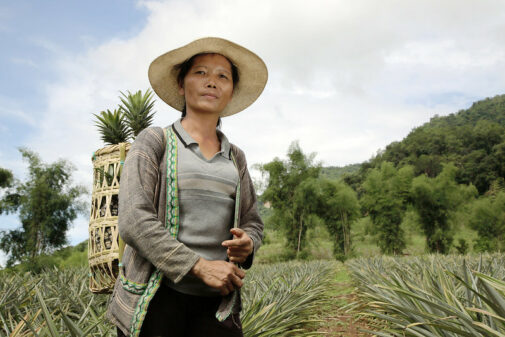 Lao woman standing in pineapple field