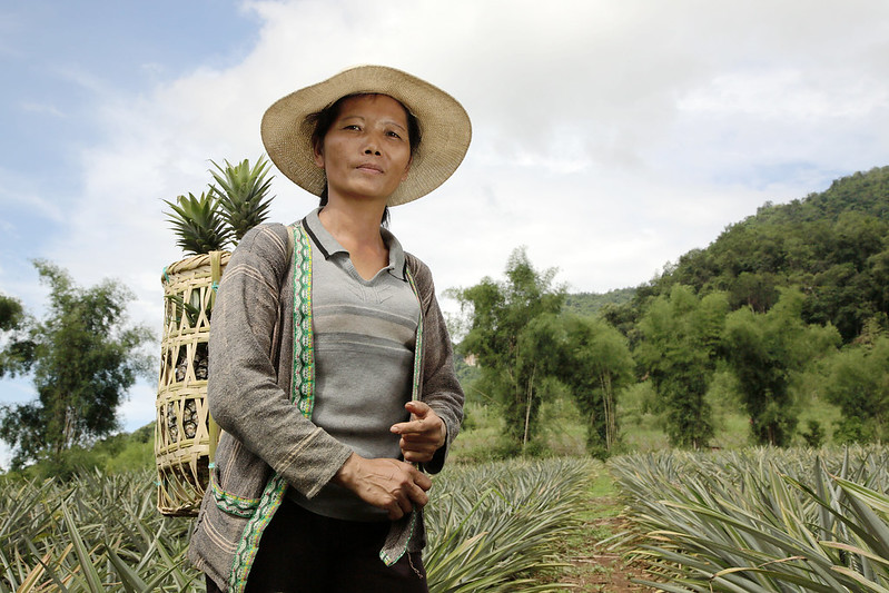 Lao woman standing in pineapple field