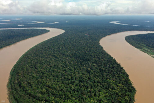 Javari River in the Brazilian Amazon