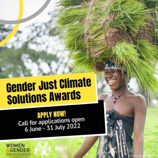 Global Forest Coalition Calls Open for Gender Just Climate Solutions ...