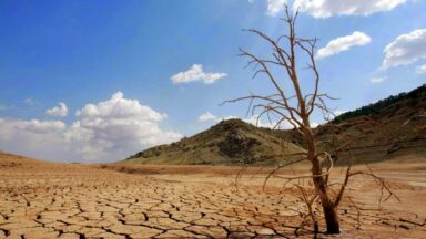 dry land suggesting drought