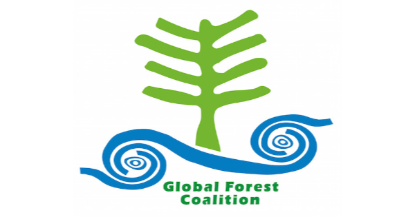 Global Forest Coalition Webinar on Carbon Removals: Unravelling