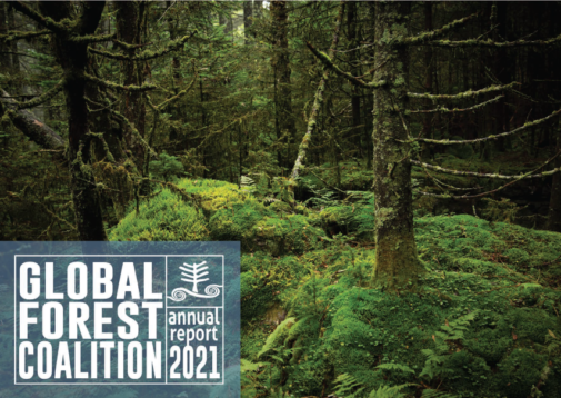 cover image of 2021 annual report with forest