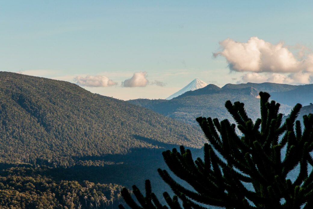 Forests, trees and mountains in Chile's Araucania region