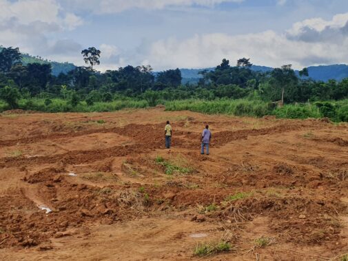 Ghana, farmlands turned into mining land