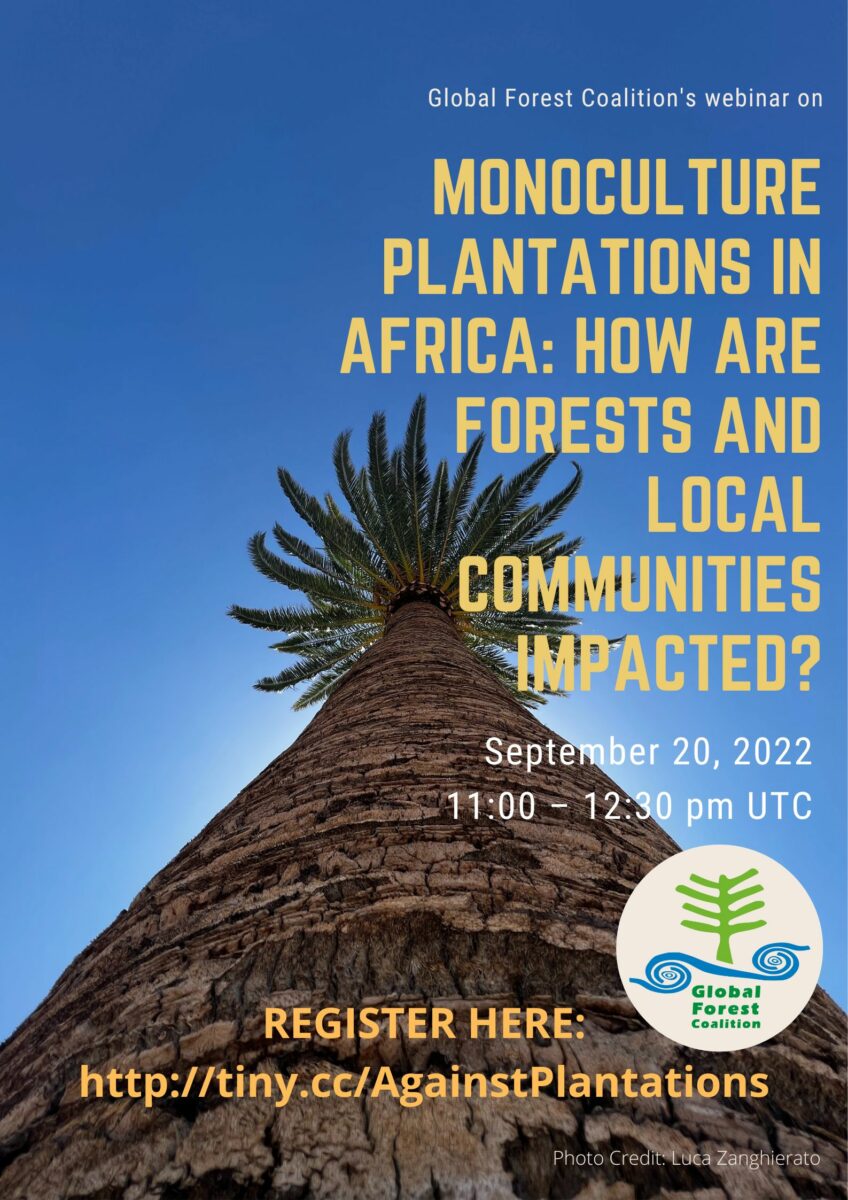 Flyer for GFC africa biomass webinar
