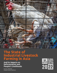 cover image of report The State of Industrial Livestock Farming in Asia