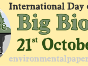 Planes para el Día Internacional de Acción sobre la Biomasa a Gran Escala el 21 de octubre 2022