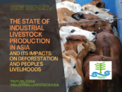 Nuevo informe: El estado de la ganadería industrial en Asia y su impacto en la deforestación y los medios de subsistencia