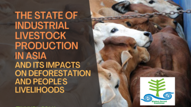 Nuevo informe: El estado de la ganadería industrial en Asia y su impacto en la deforestación y los medios de subsistencia