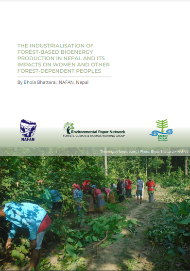 cover image for nepal biomass case study