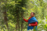 A woman standing in the forest in Nepal - by Abhaya Raj Josh / Mongabay