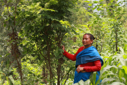 A woman standing in the forest in Nepal - by Abhaya Raj Josh / Mongabay