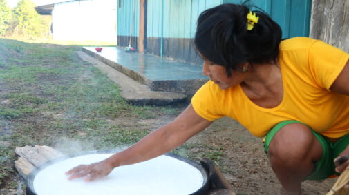 In Colombia, a Coreguaje indigenous woman conducting the traditional process of preparing cassava. A manioc-based meal