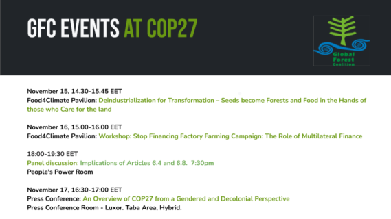 The Global Forest Coalition at COP27 - Global Forest Coalition