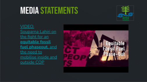 The Global Forest Coalition at COP27 - Global Forest Coalition