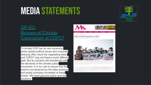 The Global Forest Coalition at COP27 - Global Forest Coalition