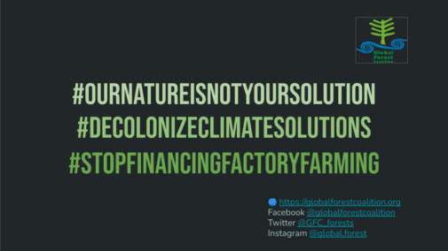 The Global Forest Coalition at COP27 - Global Forest Coalition
