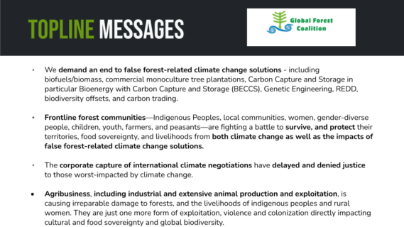 The Global Forest Coalition at COP27 - Global Forest Coalition