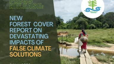 New GFC report shines a spotlight on devastating impacts of false climate solutions 