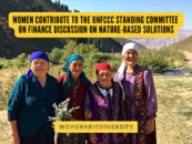 Women contribute to the UNFCCC Standing Committee on Finance discussion on nature-based solutions