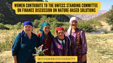 Women contribute to the UNFCCC Standing Committee on Finance discussion on nature-based solutions