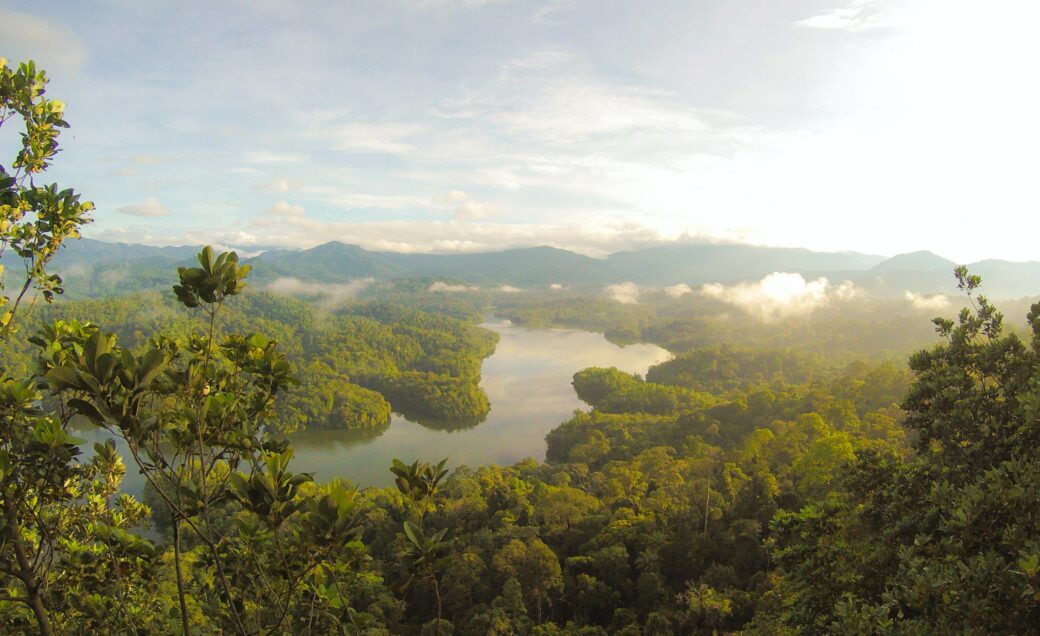 River in the rainforest in Balok, Malaysia, photo by Eutah Mizushima