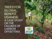 El programa ‘Trees for Global Benefit’ en Uganda: Un estudio de caso sobre los fracasos de las compensaciones de carbono