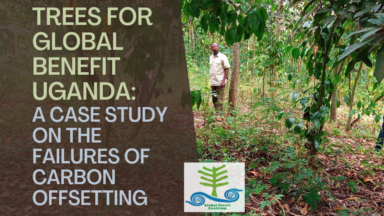 El programa ‘Trees for Global Benefit’ en Uganda: Un estudio de caso sobre los fracasos de las compensaciones de carbono