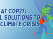 The Global Forest Coalition at COP27