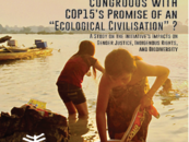 Informe: ¿Es la BRI congruente con la promesa de la COP15 de una “civilización ecológica”?