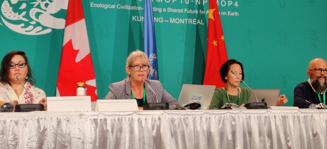A press conference at COP15 in Montreal with Simone Lovera
