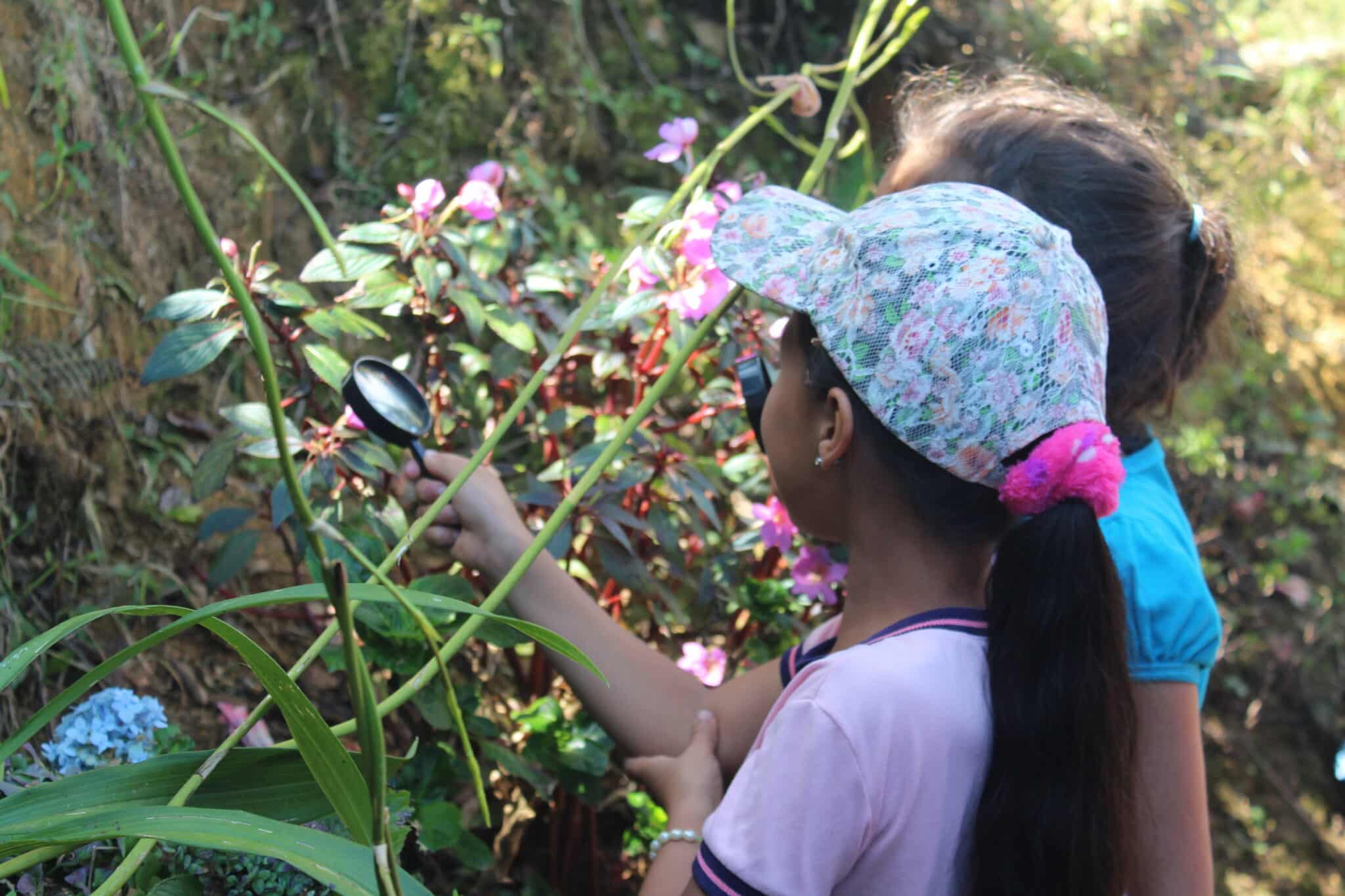« Les forêts représentent la santé » : entretien avec Fundaexpresión à l’occasion de la Journée internationale des forêts