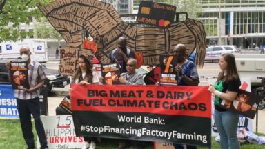 Los grupos exigen que el Banco Mundial desvíe los préstamos de la agricultura animal industrial