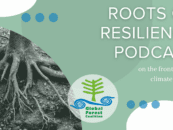 Raíces de la Resiliencia: Un nuevo podcast de la Coalición Mundial por los Bosques