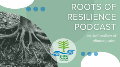 Les racines de la résilience : un podcast de la Coalition mondiale pour les forêts