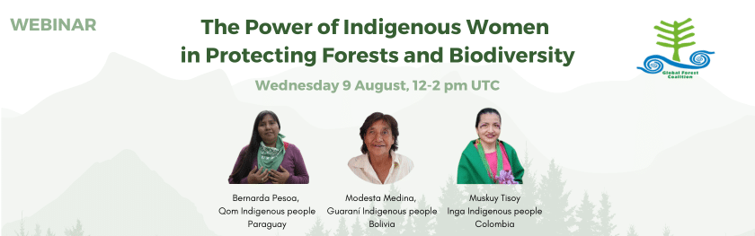 The Power of Indigenous Women in Protecting Forests and Biodiversity ...