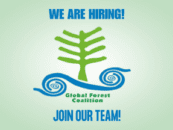 GFC is hiring: Forests and Climate Change Campaign Coordinator