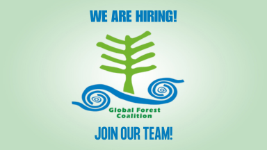 GFC is hiring: Forests and Climate Change Campaign Coordinator
