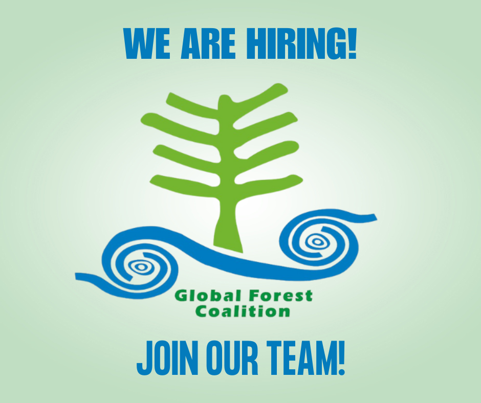 Global Forest Coalition GFC is hiring for the role of Director - Global  Forest Coalition