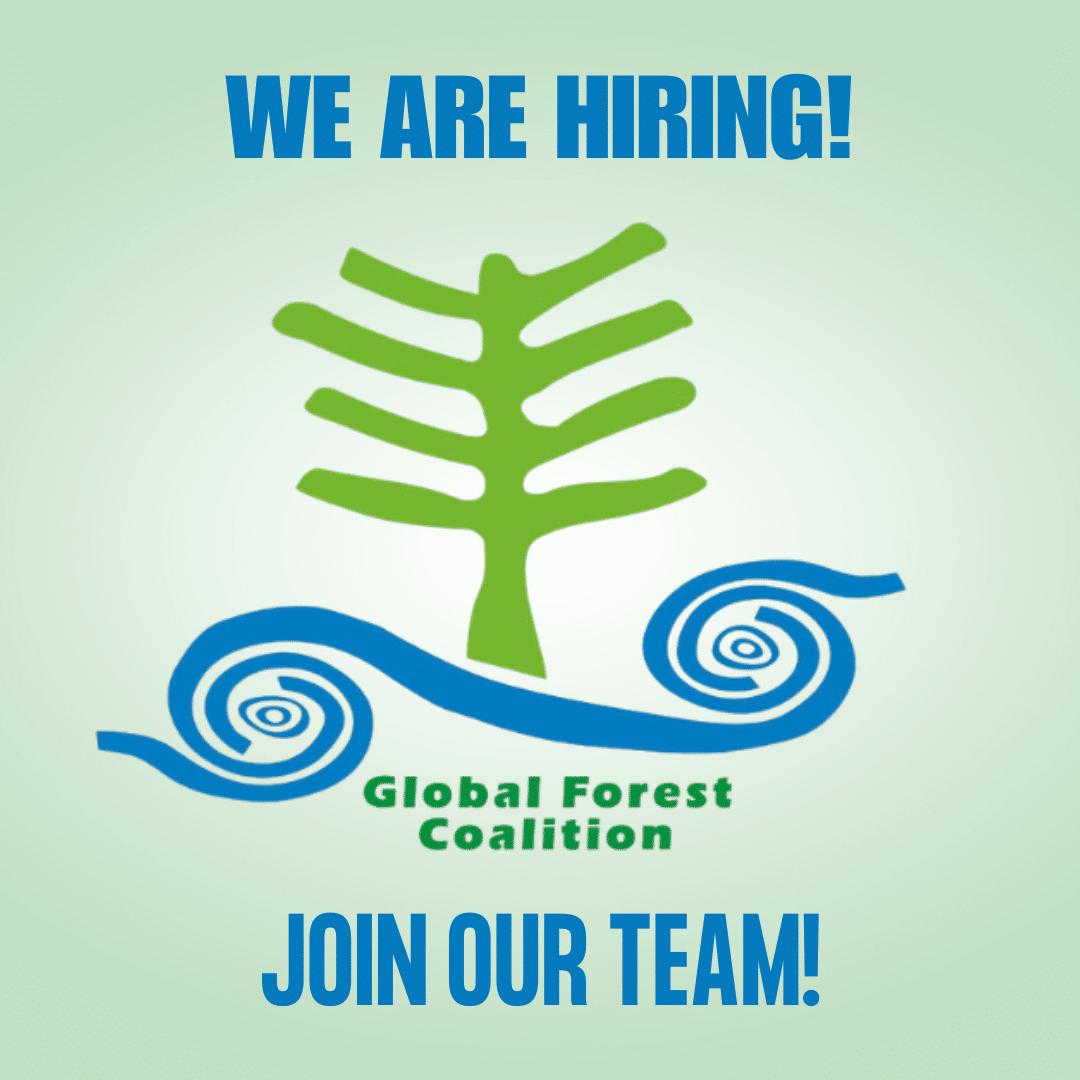 2-curioso-photography-QLOJS4bKNxg-unsplash_