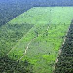 Aerial shot of deforestation