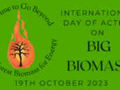 International Day of Action on Big Biomass 2023